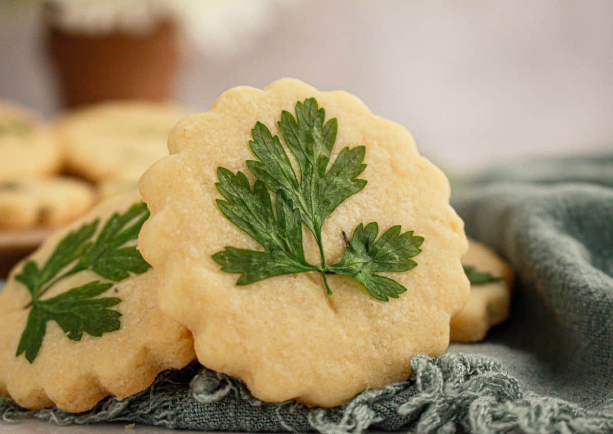 Parmesan cookies a kitchen towel.