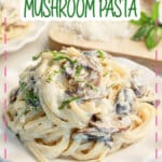 White plate full of a serving of creamy mushroom linguine.