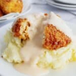 Mashed potatoes on a plate topped with chicken patty.