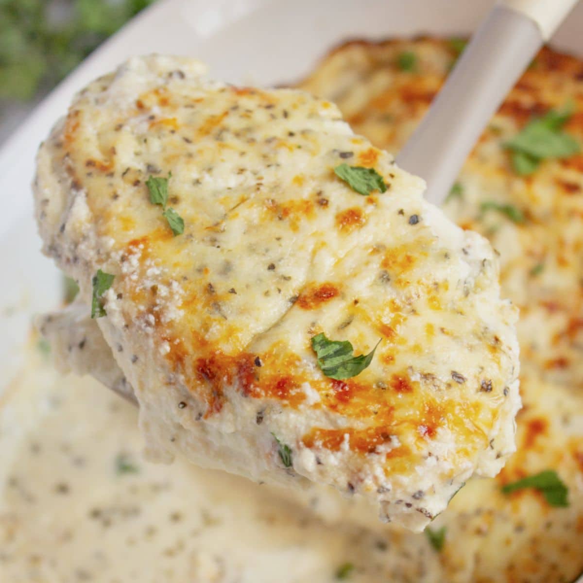 Sour cream covered chicken breast held on a spoon.