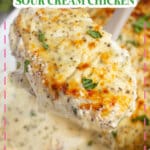 Sour cream covered chicken breast held on a spoon.