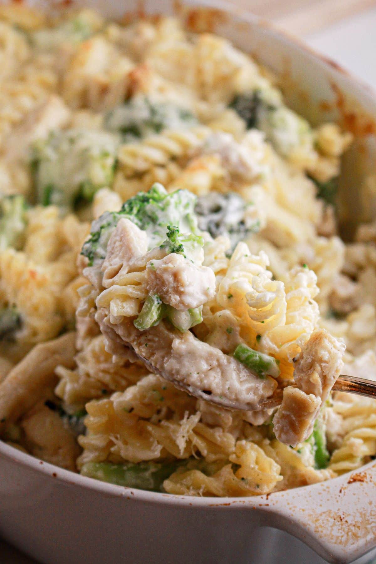 Spoonful of baked chicken alfredo above a baking dish.
