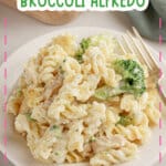 Plate full of bake chicken alfredo.