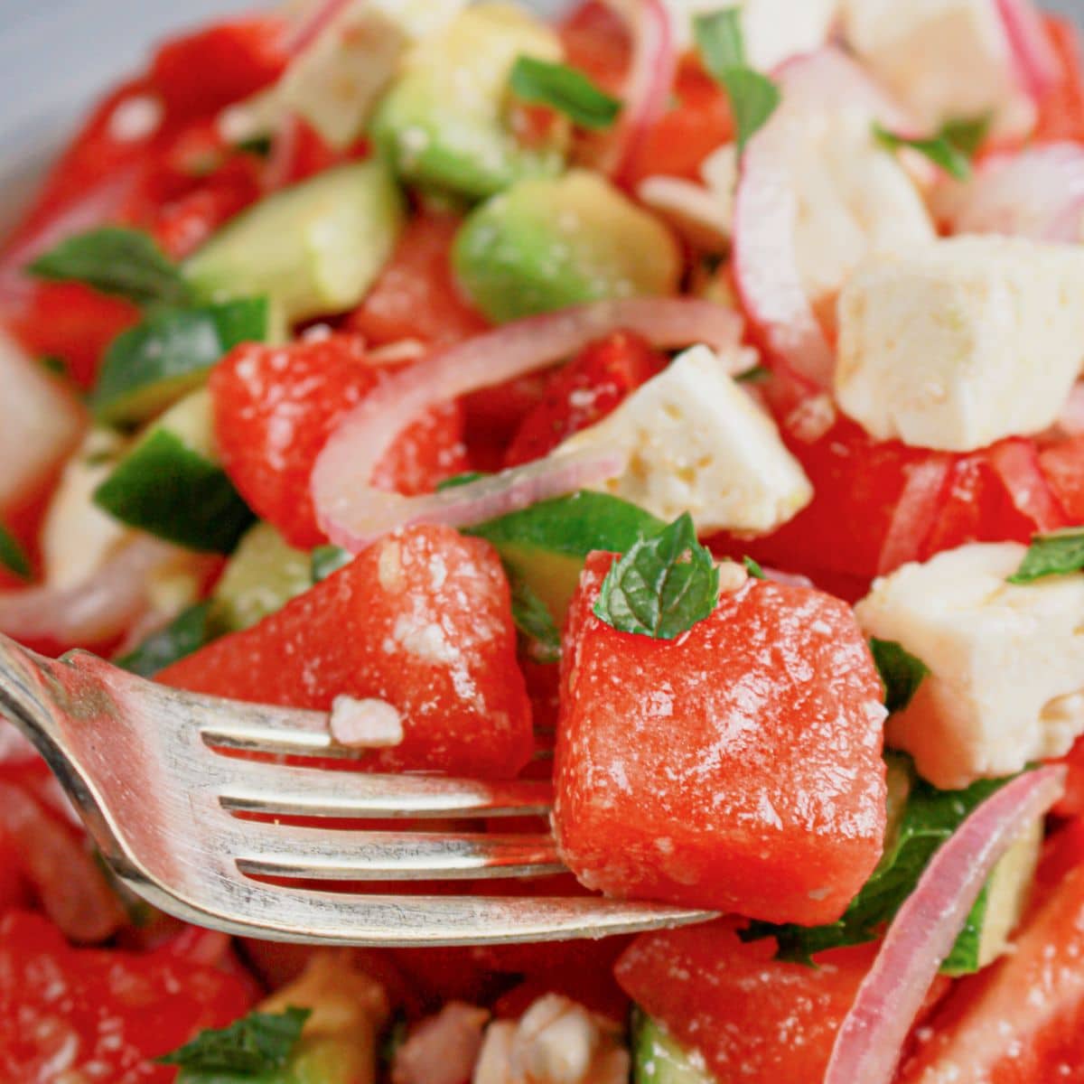 Bowl of watermelon and cucumber salad.