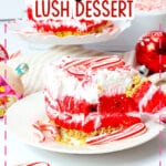 Slice of candy cane lush on a plate.