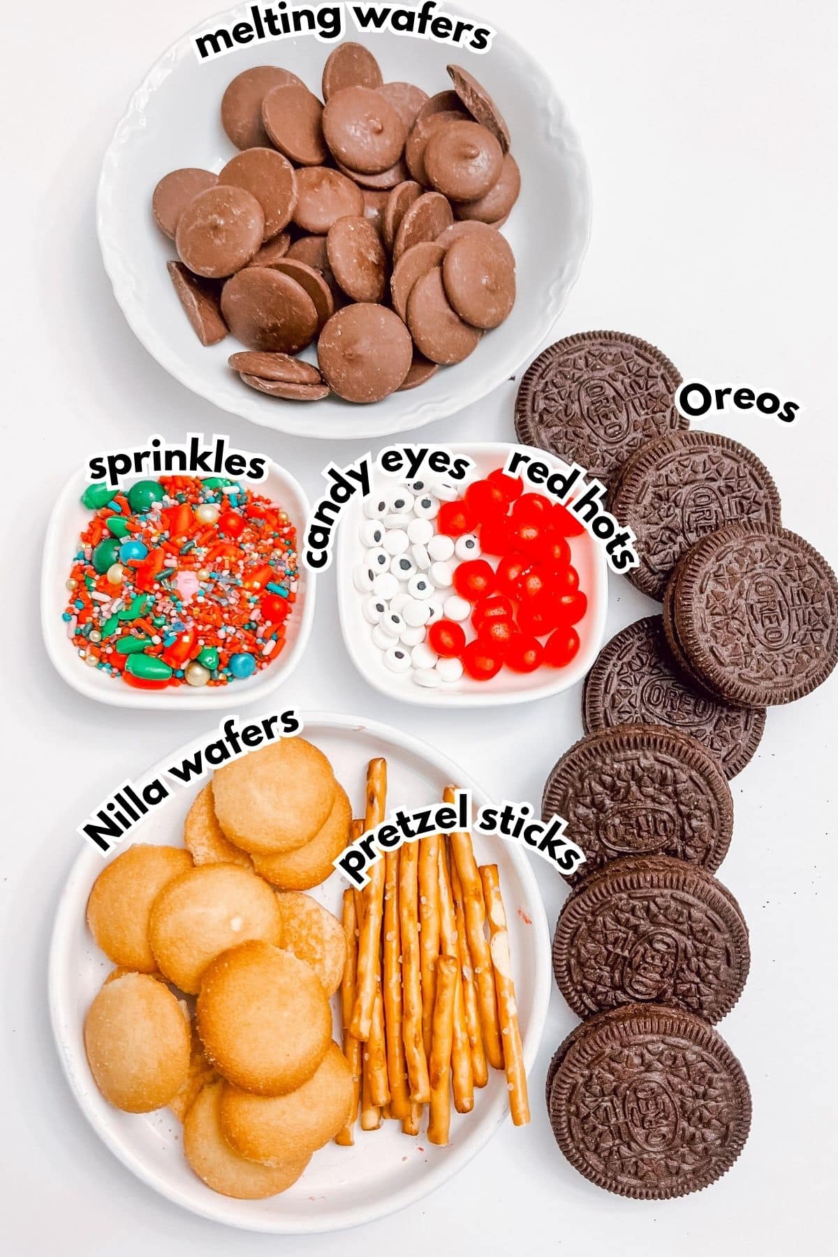 Bowls of ingredients labelled with text on a counter.