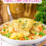 Bowl of turkey and dumplings on a counter.
