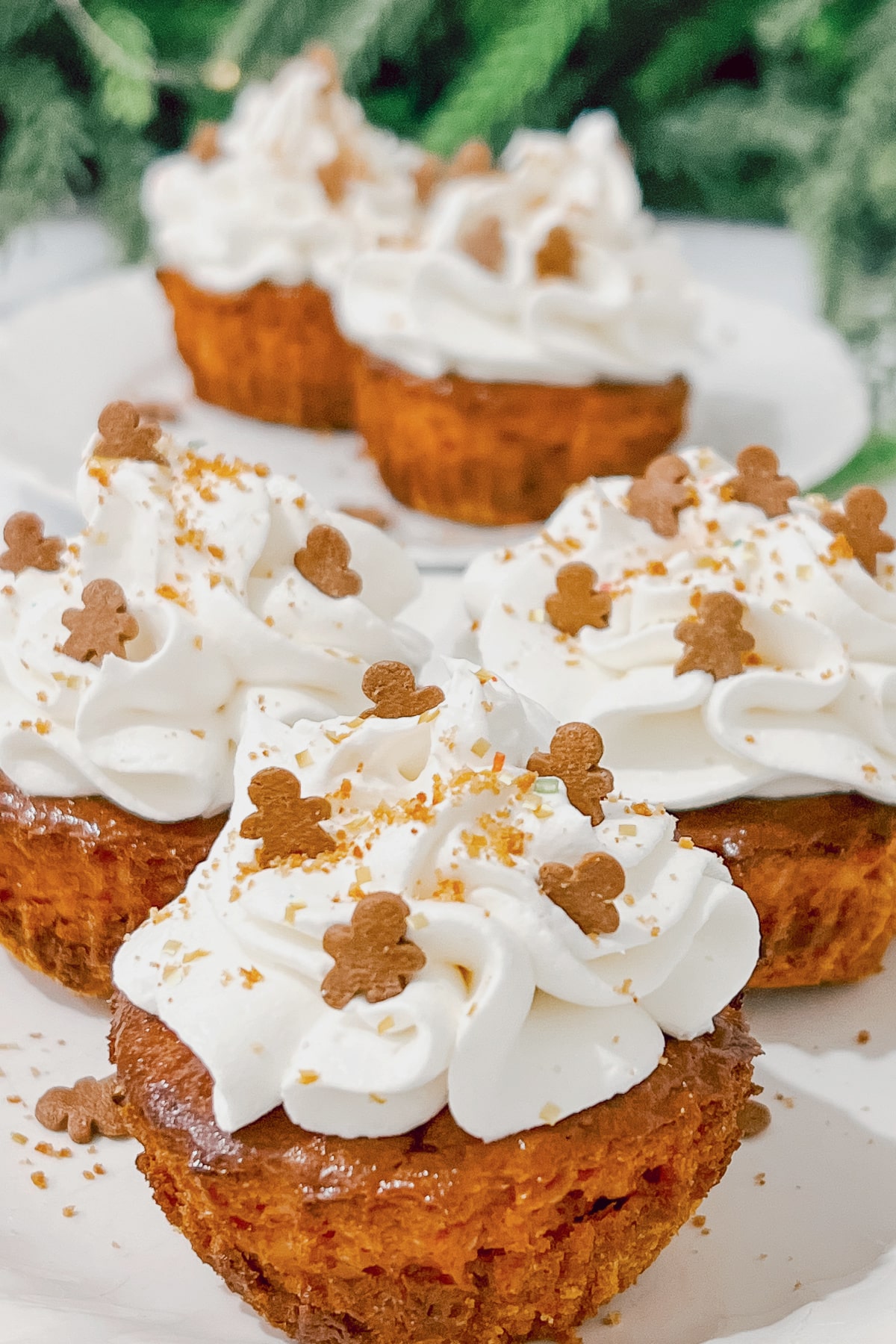 Gingerbread cheesecake on a plate.