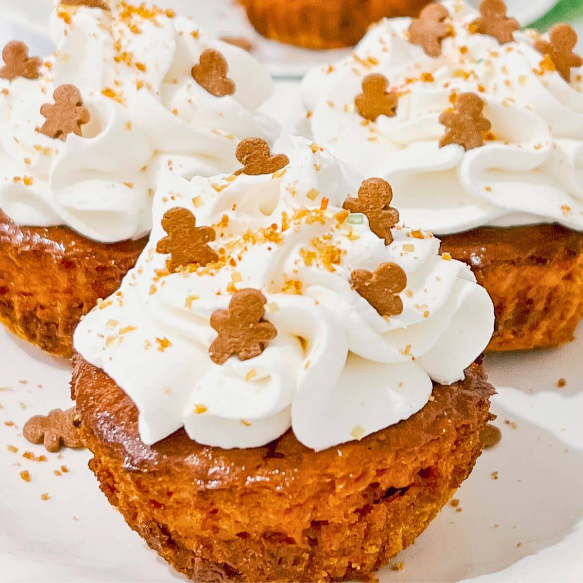 Gingerbread cheesecake on a plate.