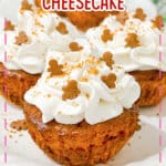 Gingerbread cheesecake on a plate.