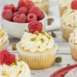 Cupcake on a plate.