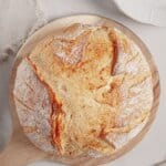 Sourdough Starter Loaf of dutch oven bread on cutting board.