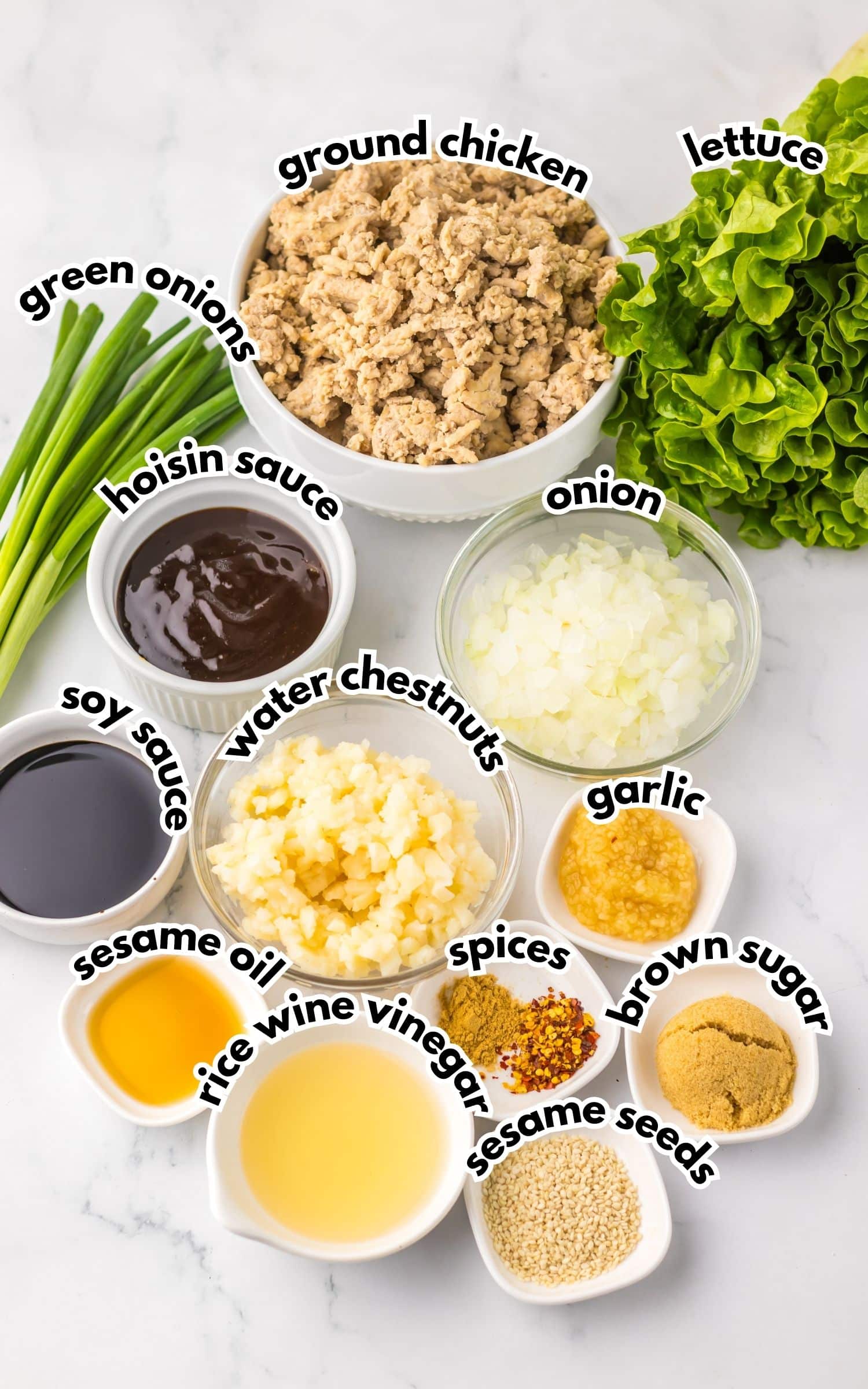 Bowls of ingredients labelled with text on a counter.