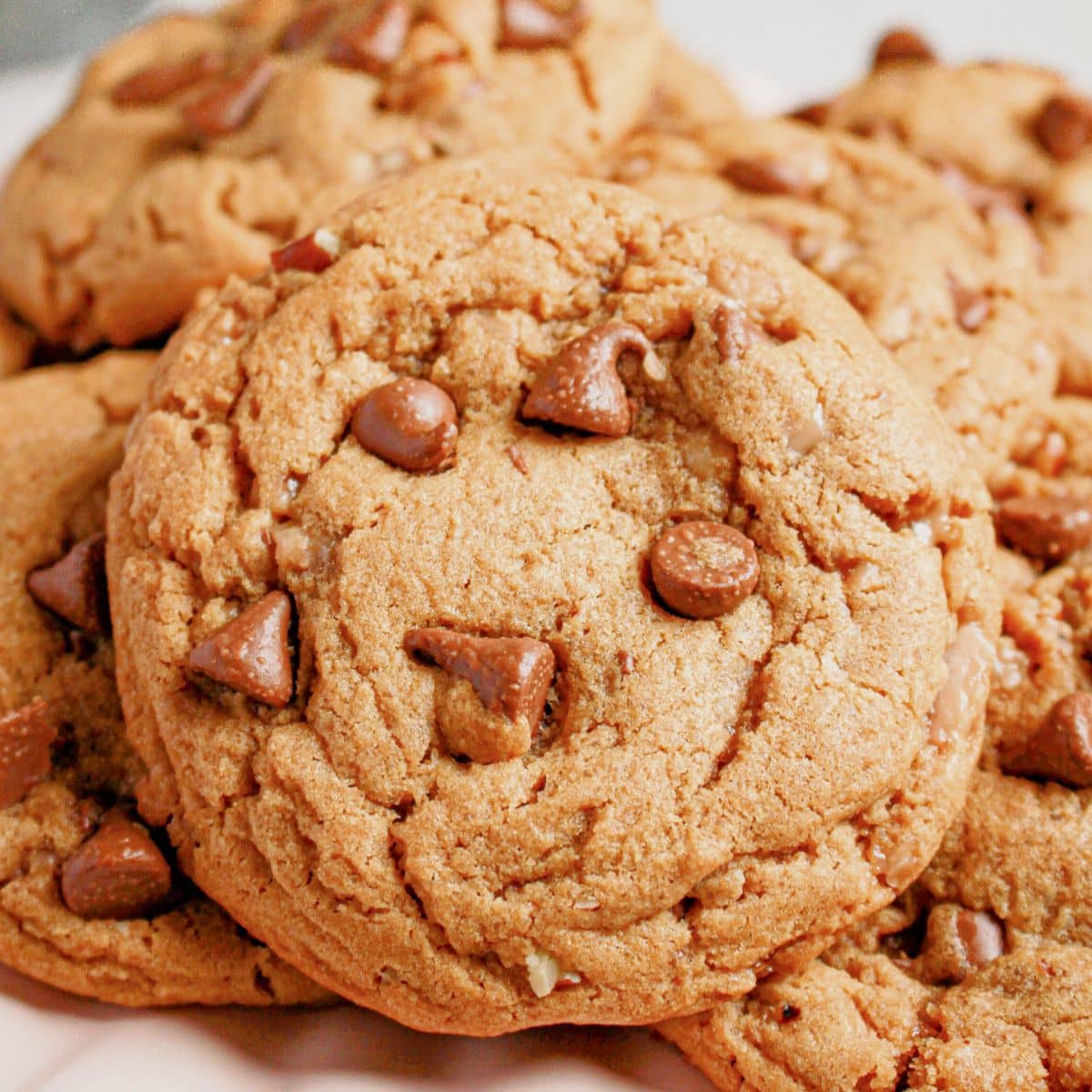 Peanut butter chocolate chip cookies stacked on a cake plate.
