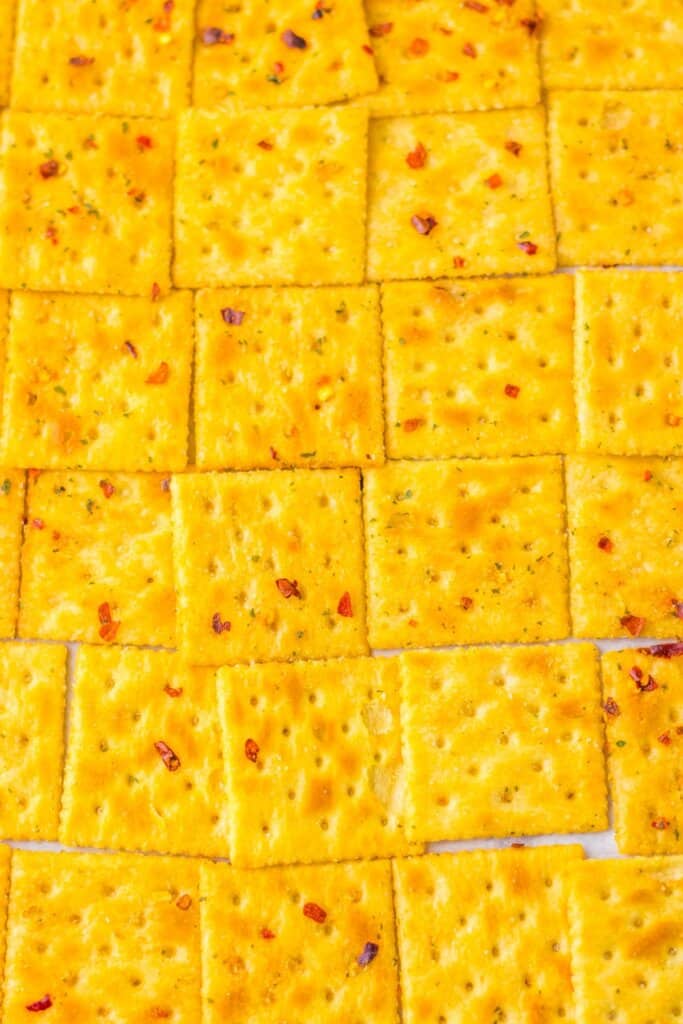Saltines on a baking sheet in rows.