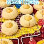 Butterbeer blossom cookies on a cooling rack.