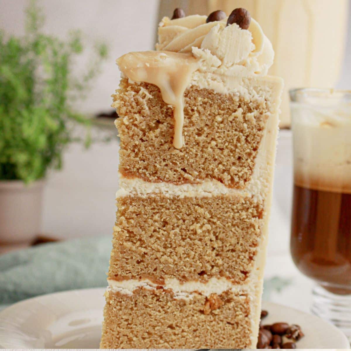 Slice of cappuccino cake on a plate.