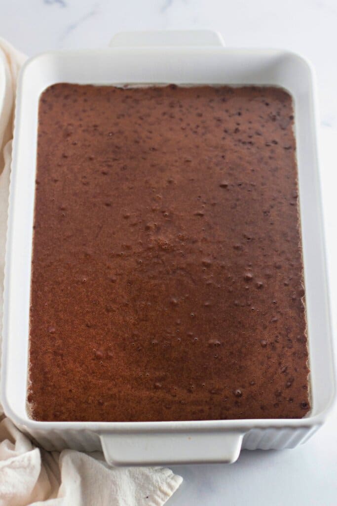 Batter in a baking dish.