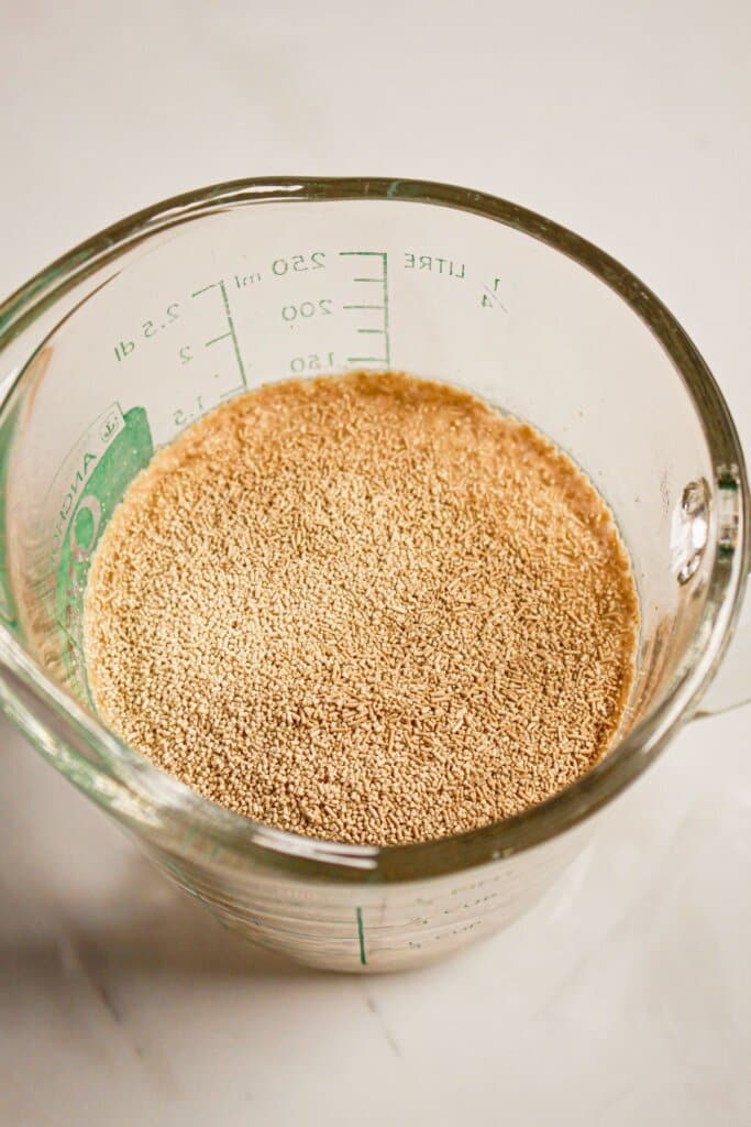 Yeast and water in a small glass mixing bowl.