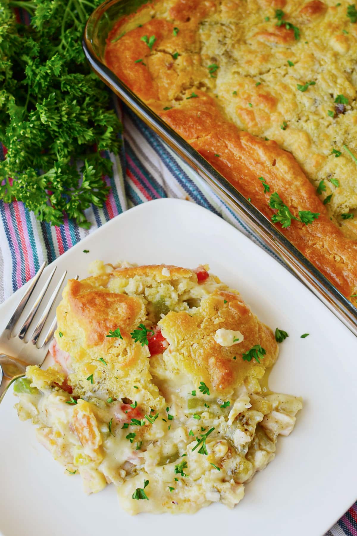 Serving of chicken and dumpling casserole on a white plate.
