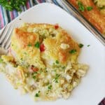 Serving of chicken and dumpling casserole on a white plate.