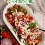 Platter full of strawberry fields salad.