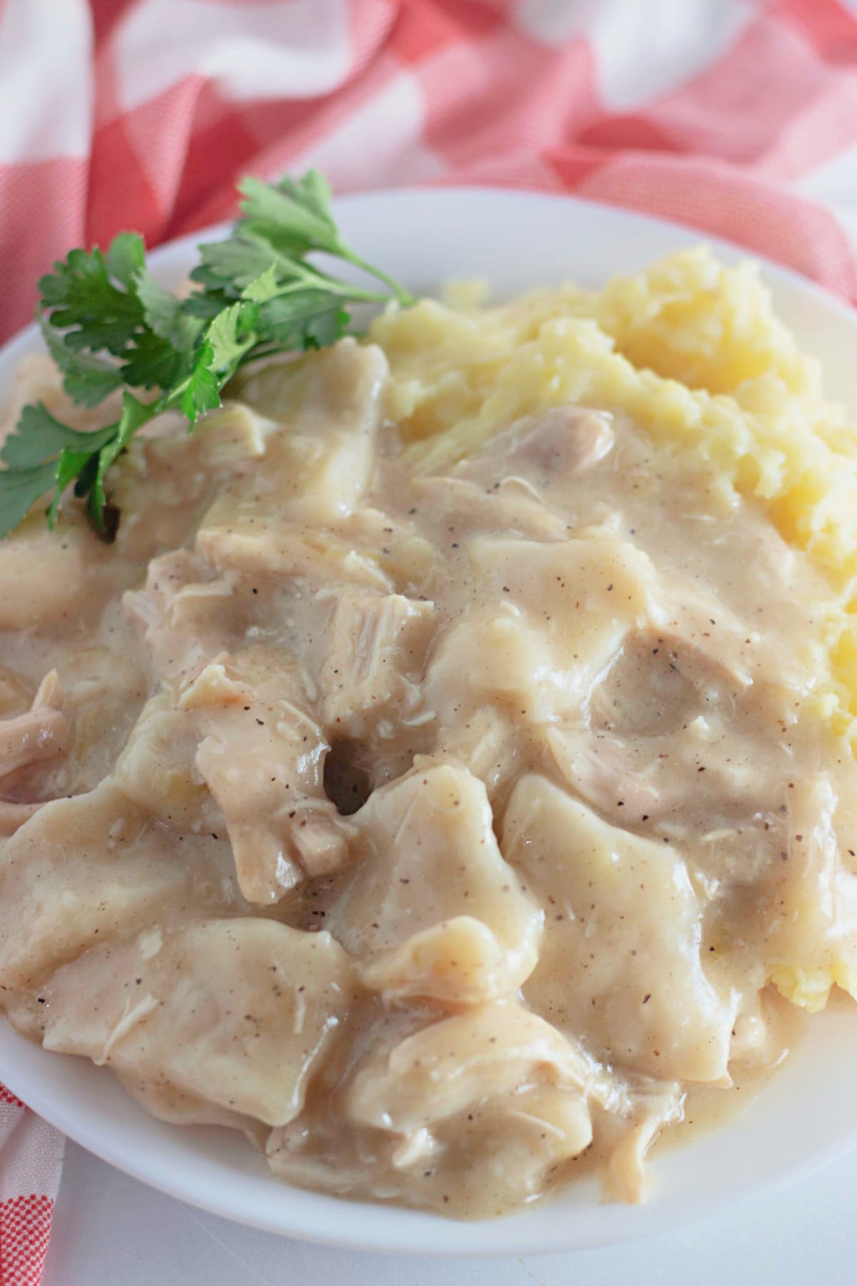 Chicken and dumplings and mashed potatoes on a plate.