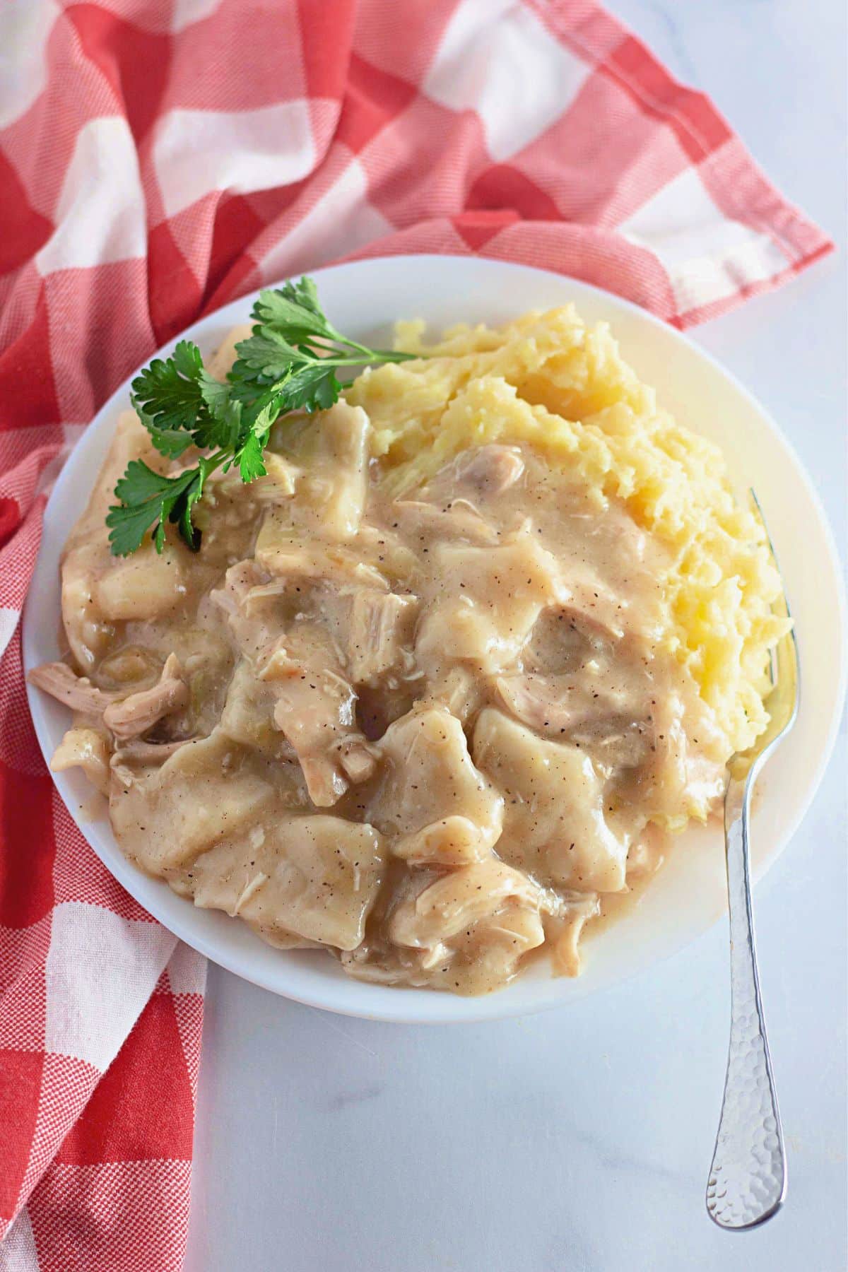 Chicken and dumplings and mashed potatoes on a plate.