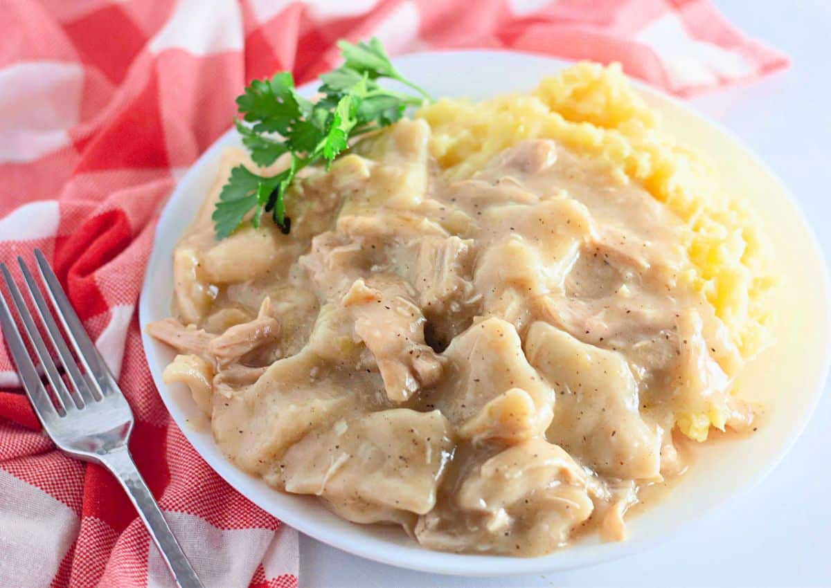 Chicken and dumplings and mashed potatoes on a plate.