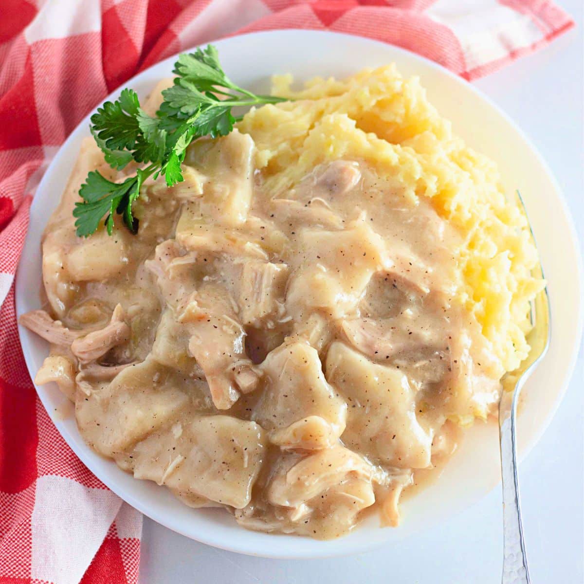 Chicken and dumplings and mashed potatoes on a plate.