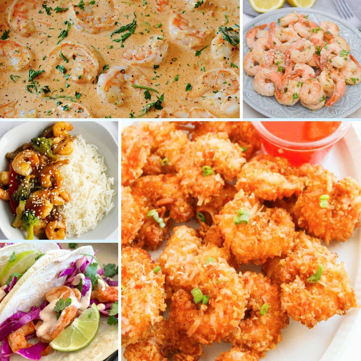 Collage of shrimp recipes.