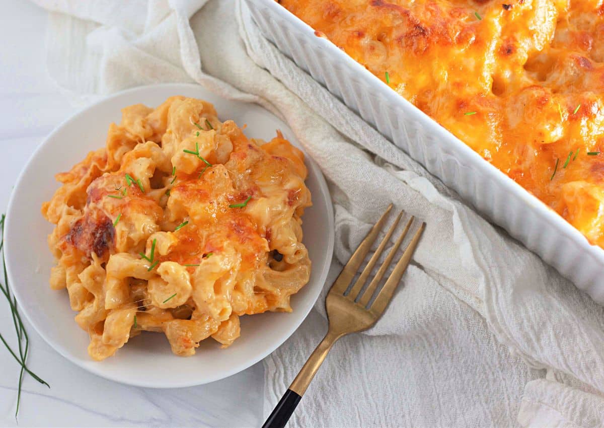 Small plate full of triple mac and cheese.
