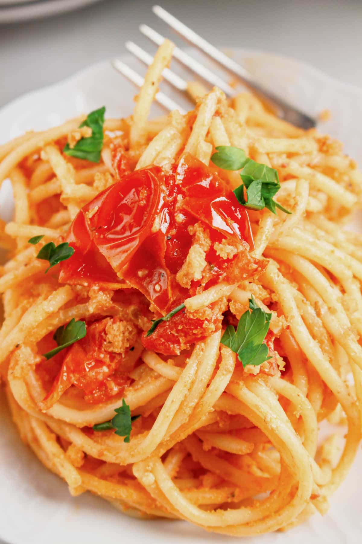 Plate of boursin tomato pasta.