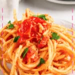 Plate of boursin tomato pasta.