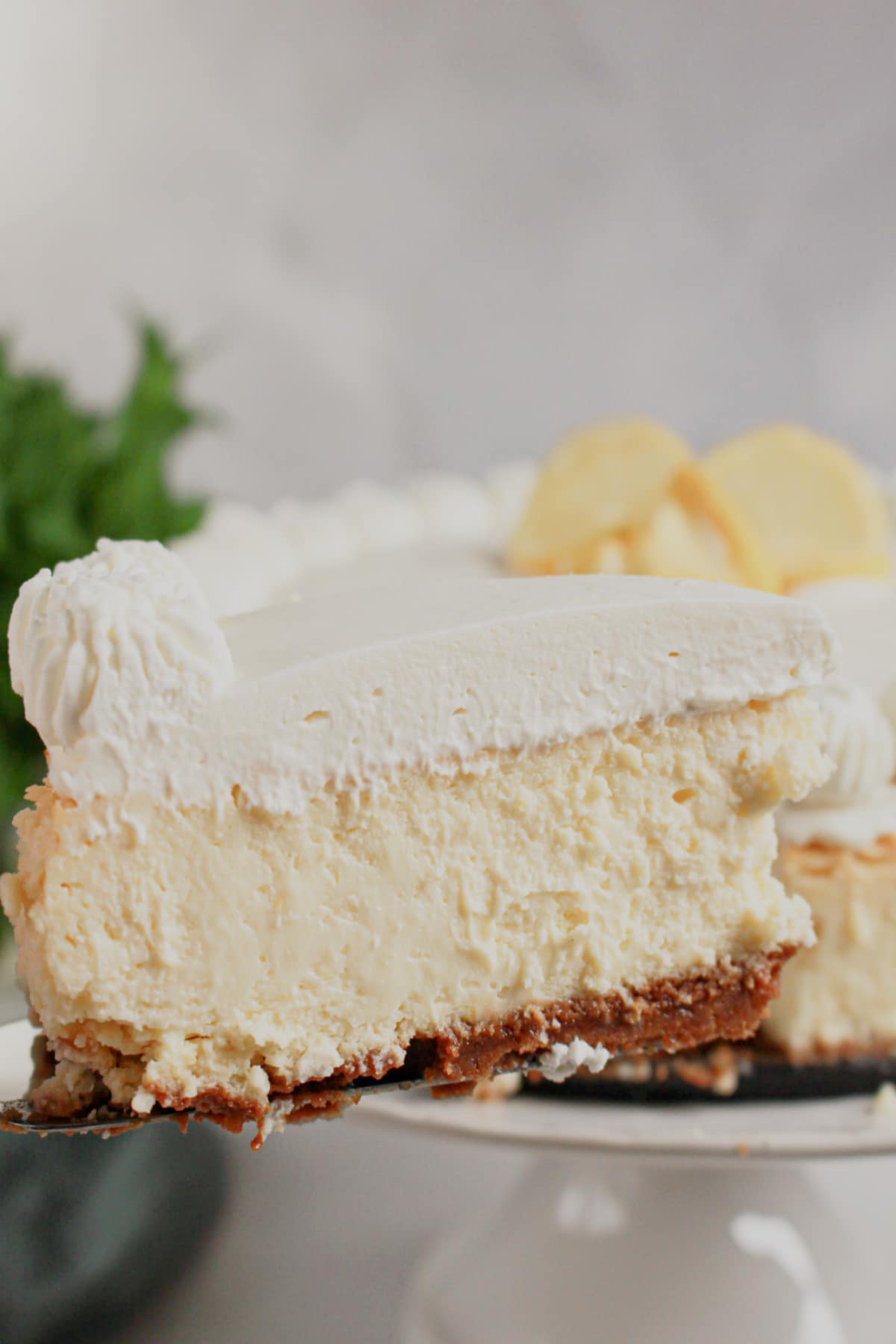 Slice of lemon cheesecake on a plate.