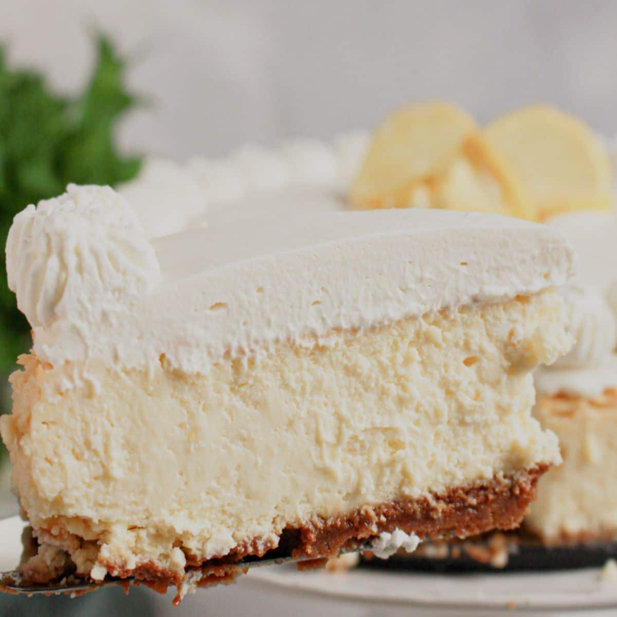 Slice of lemon cheesecake on a plate.