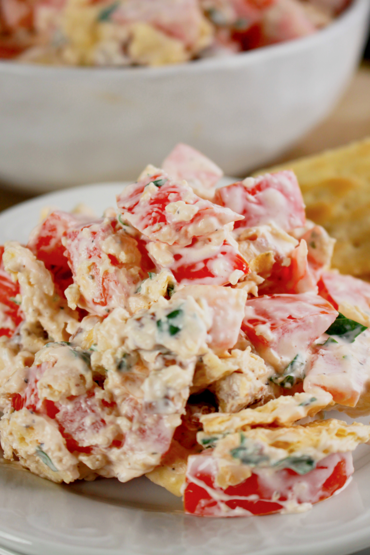 Tomato cracker salad on a small plate.