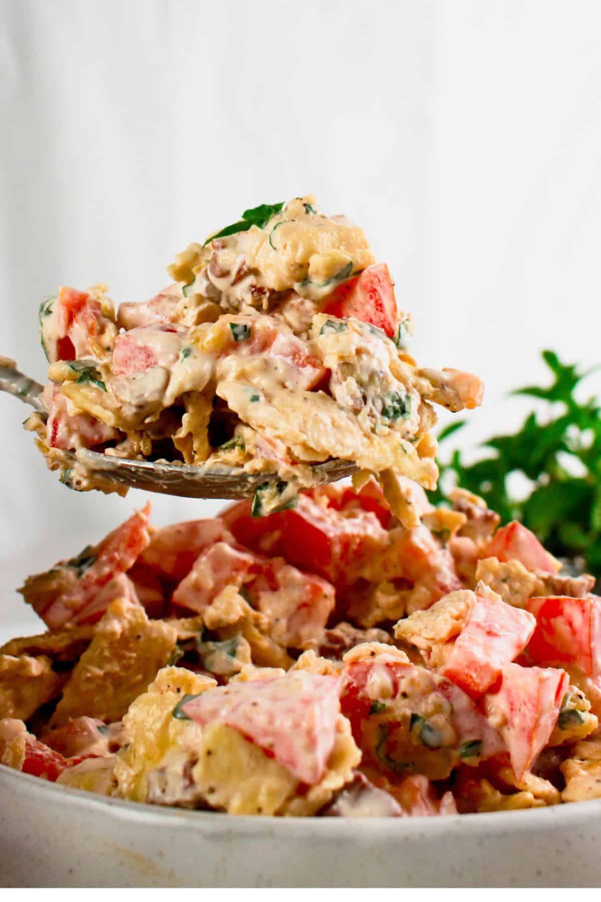 Tomato cracker salad on a small plate.