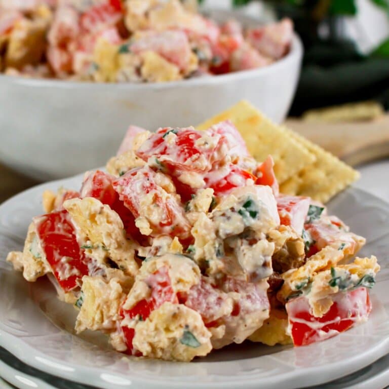 Tomato cracker salad on a small plate.