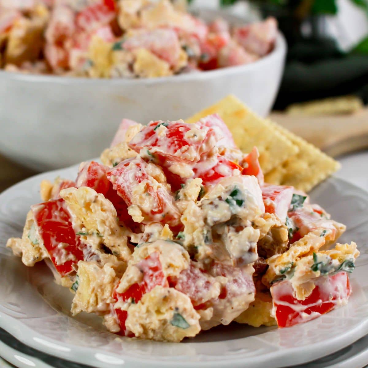 Tomato cracker salad on a small plate.