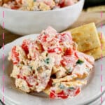 Tomato cracker salad on a small plate.