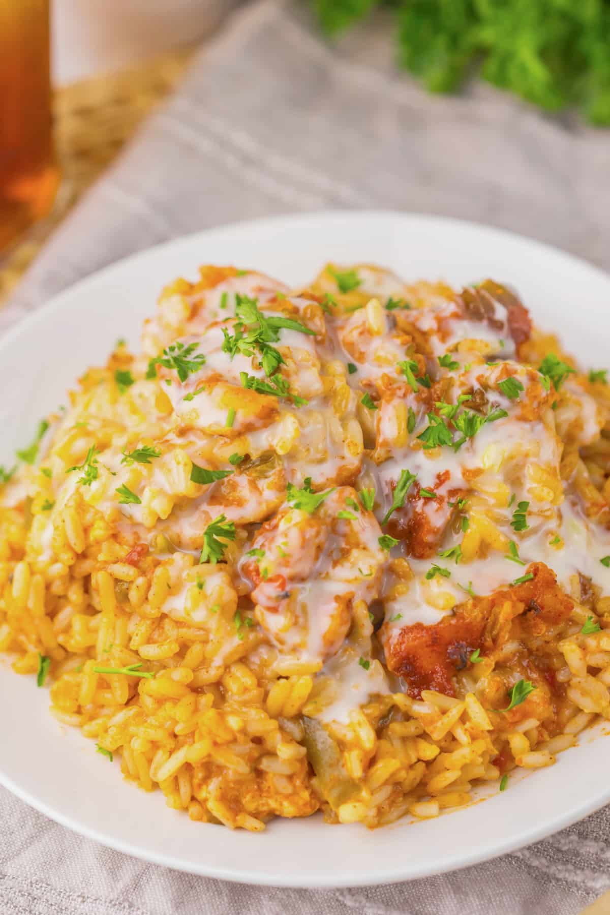 Plate of queso chicken and rice.