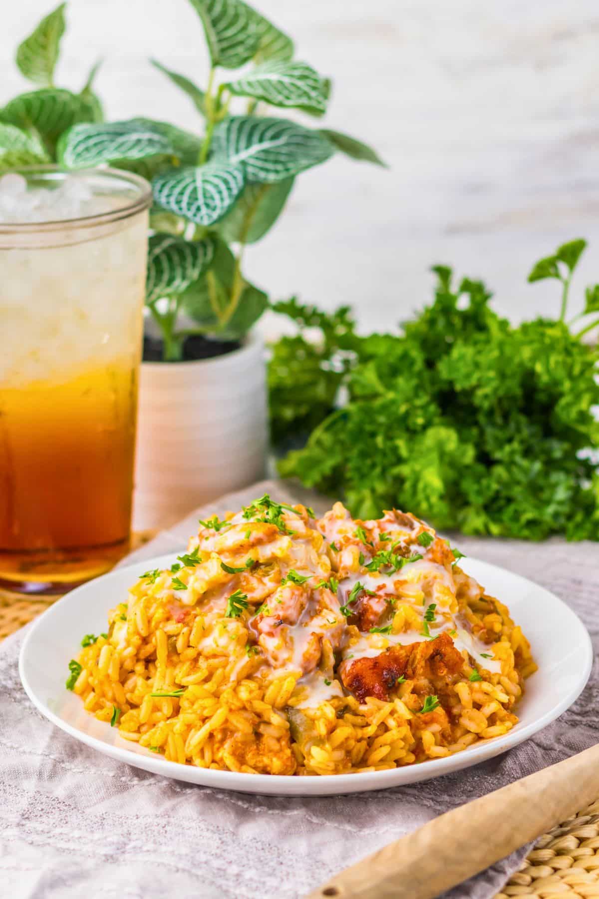 Plate of queso chicken and rice.